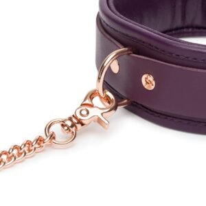 0015261_fifty-shades-freed-cherished-collection-leather-collar-lead_ijtudcnngnbkvdmx