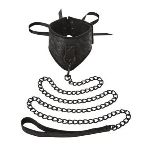 0019484_sincerely-lace-posture-collar-leash_j7tjlojc8jr3lbo1