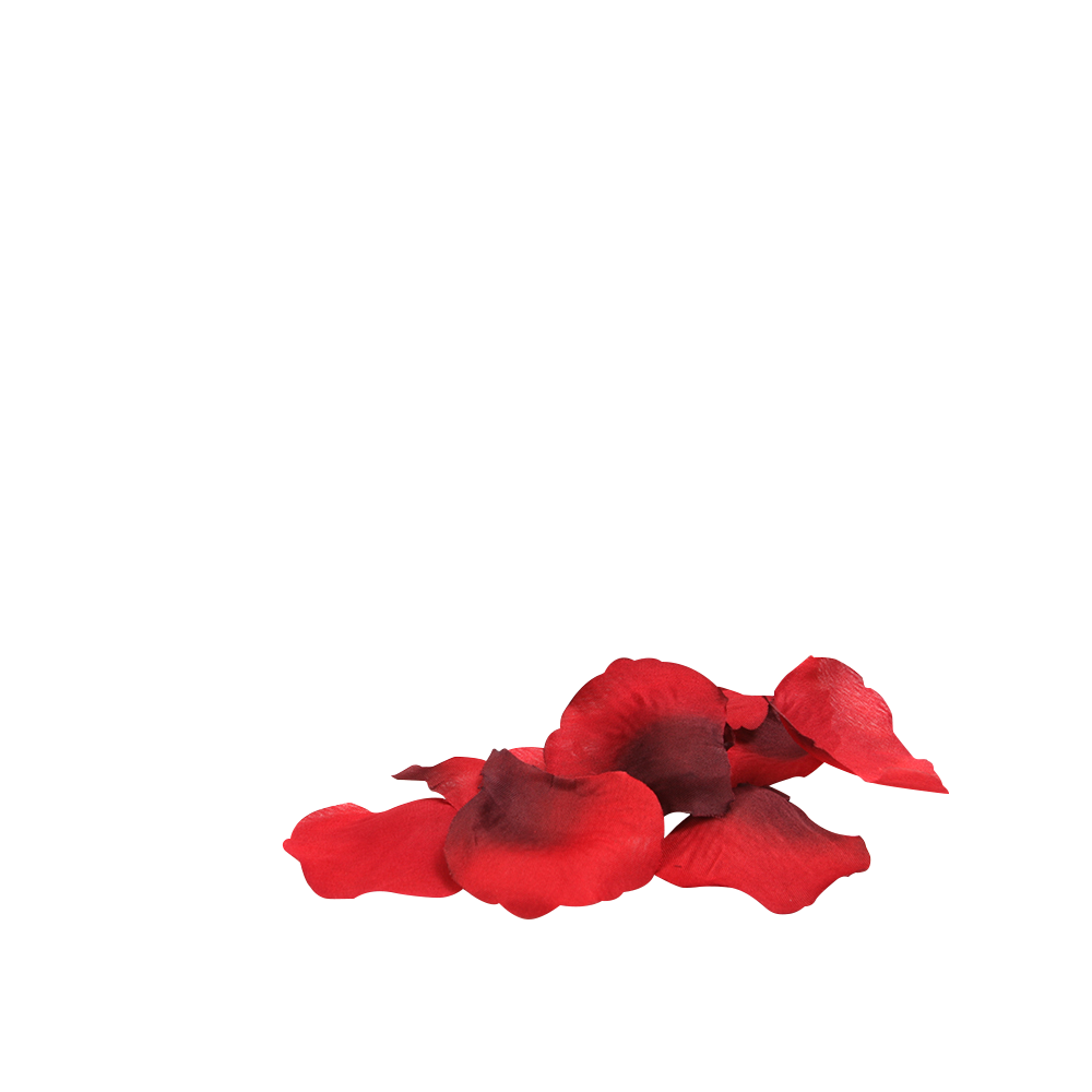 You & Me On A Bed Of Roses! - Image 2