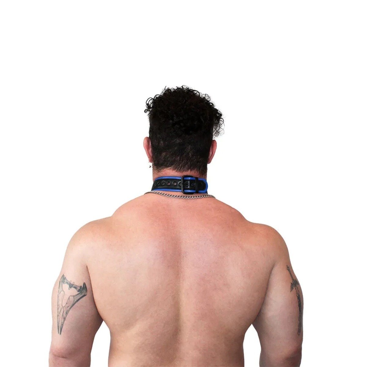 Brutus Vegan Puppy Collar Black Blue - Image 3
