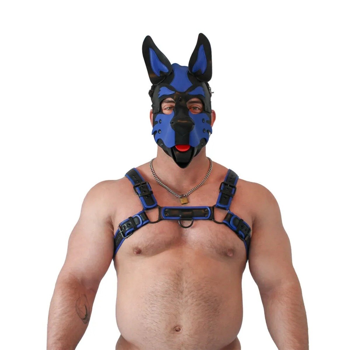 Brutus Vegan Pup Hood Black Blue - Image 3