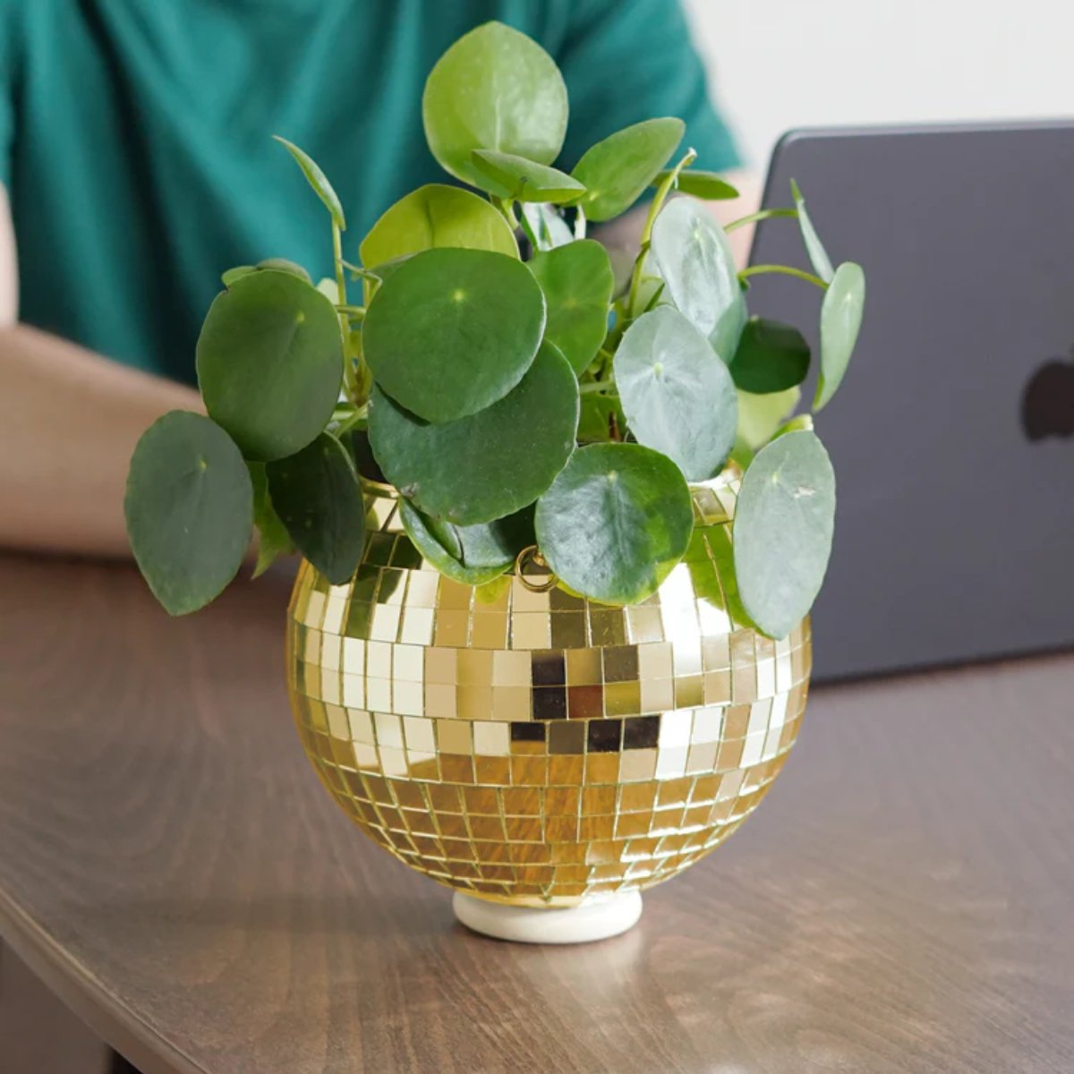 Disco Ball Hanging Planter Gold - 6in - Image 5