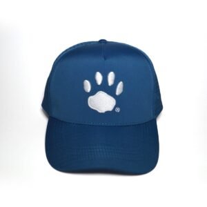 hat_front