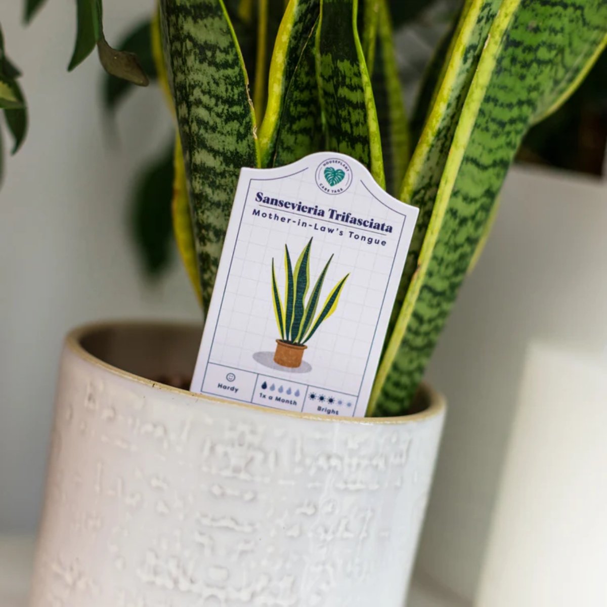 Houseplant Care Tags - Image 3