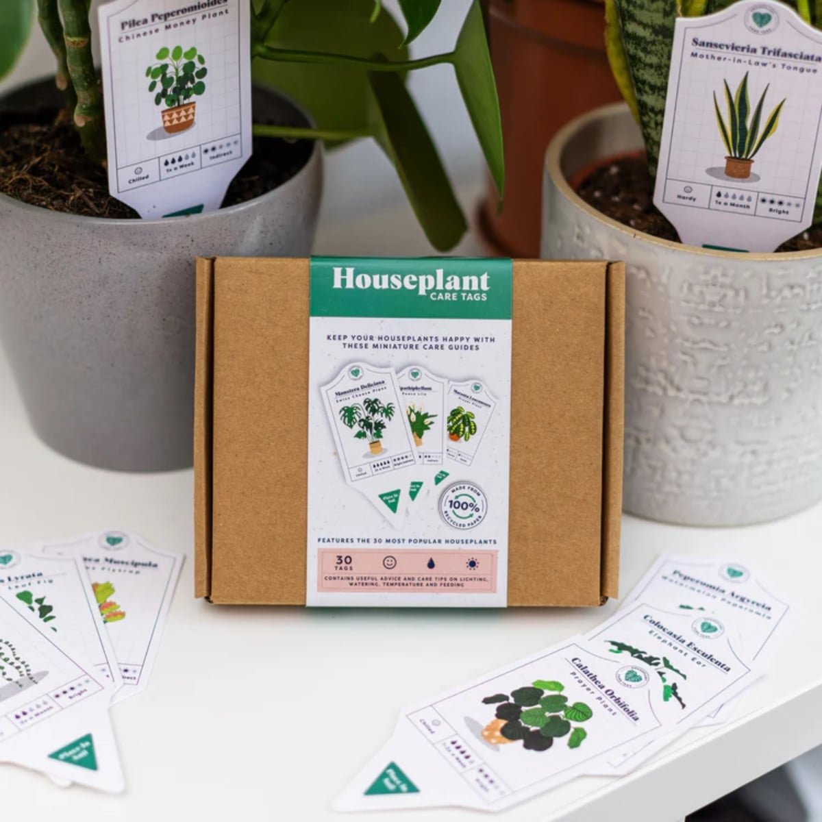 Houseplant Care Tags - Image 2