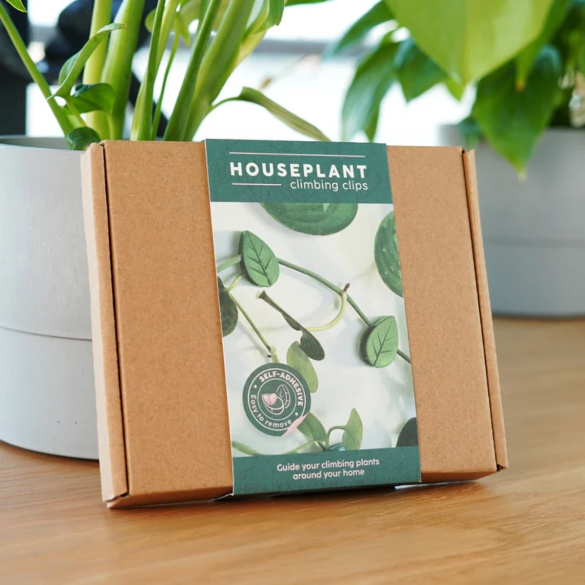 Houseplant Climbing Clips - Image 2