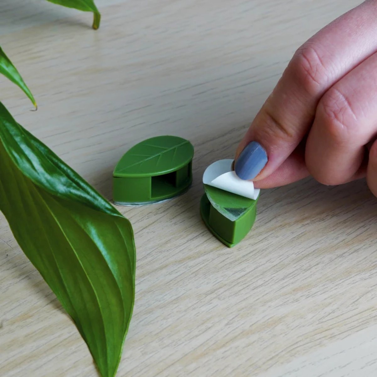 Houseplant Climbing Clips - Image 3