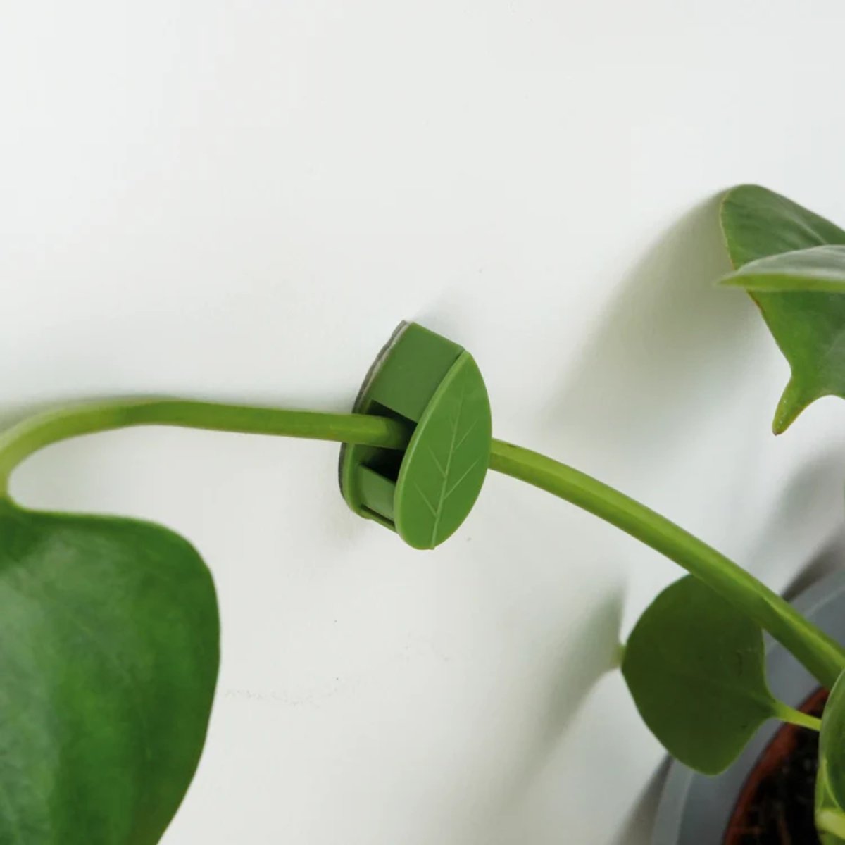 Houseplant Climbing Clips - Image 5