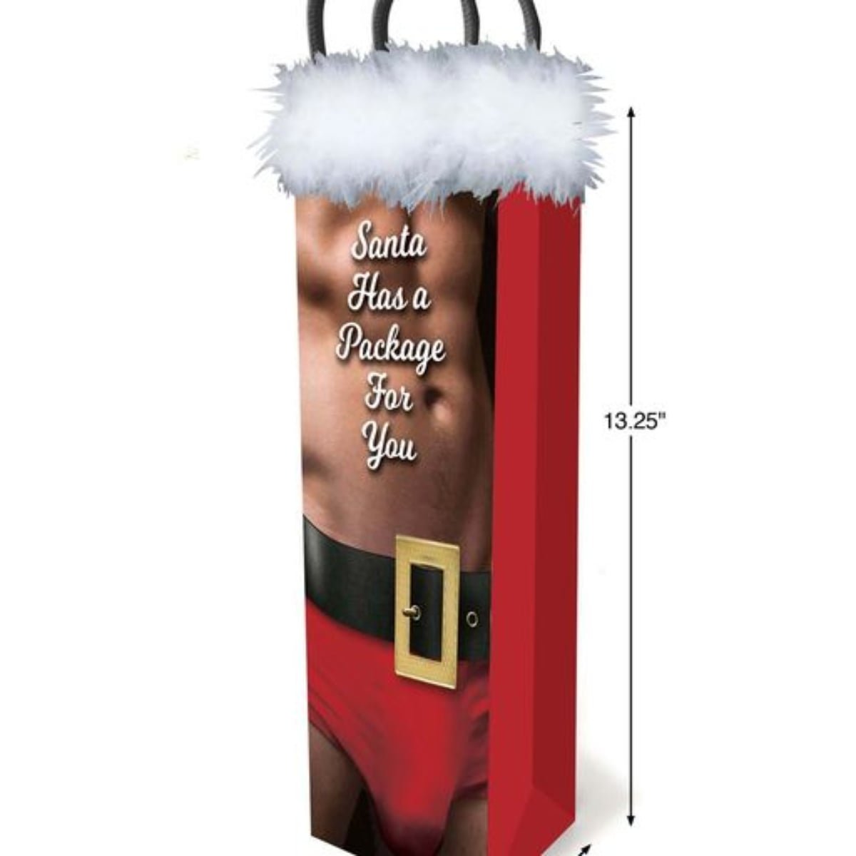 Little Genie Santa Has A Big Package For You Gift Bag - Image 2