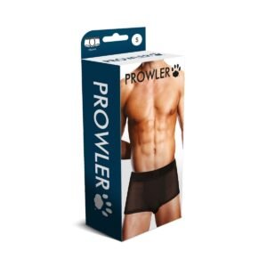 pr001_mesh-s-f