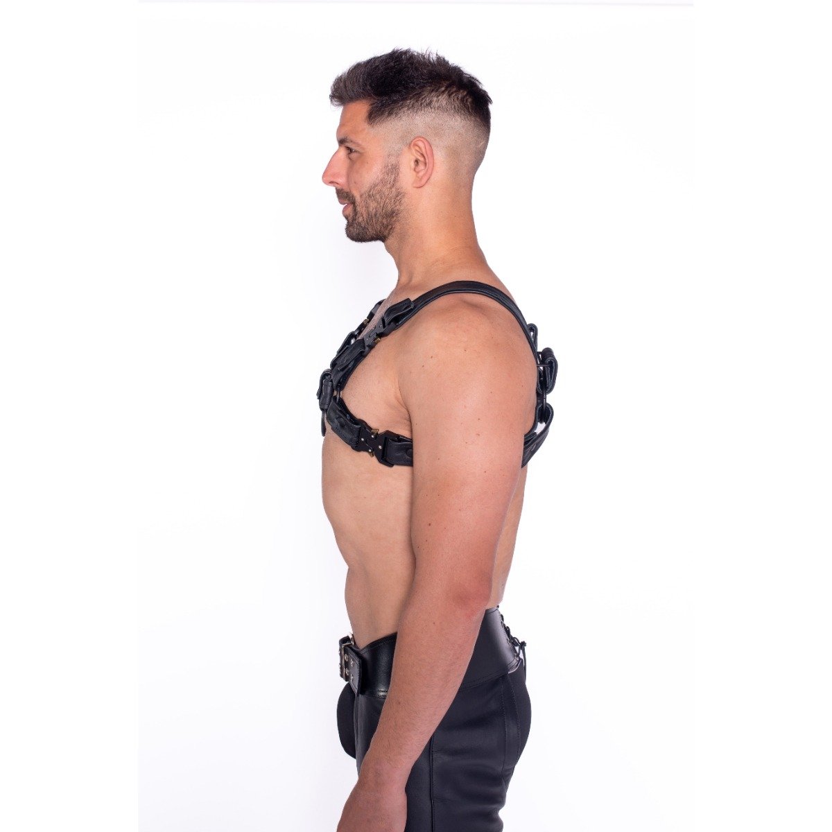 Prowler RED Bull Harness Black with Metal Fittings XXL - Image 3