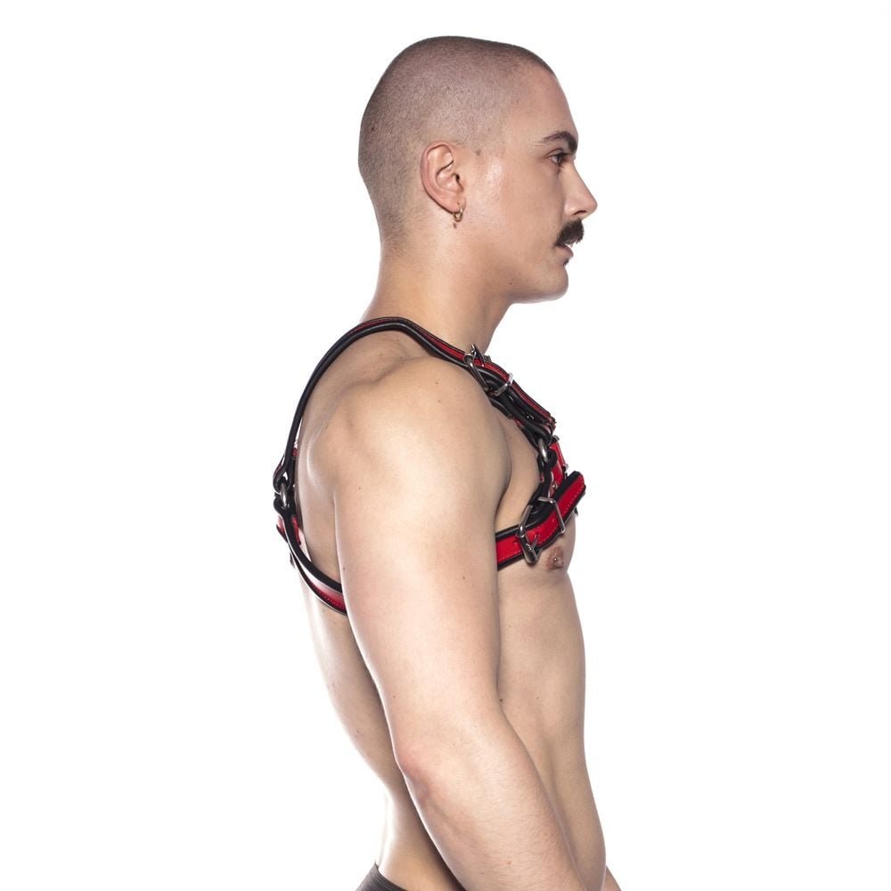 Prowler RED Bull Harness Black/Red Large - Image 2