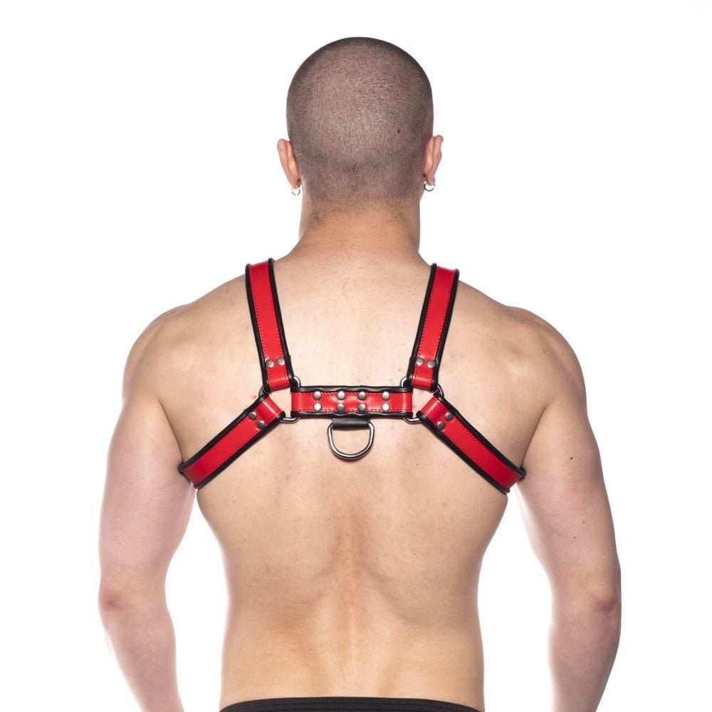 Prowler RED Bull Harness Black/Red XL - Image 4