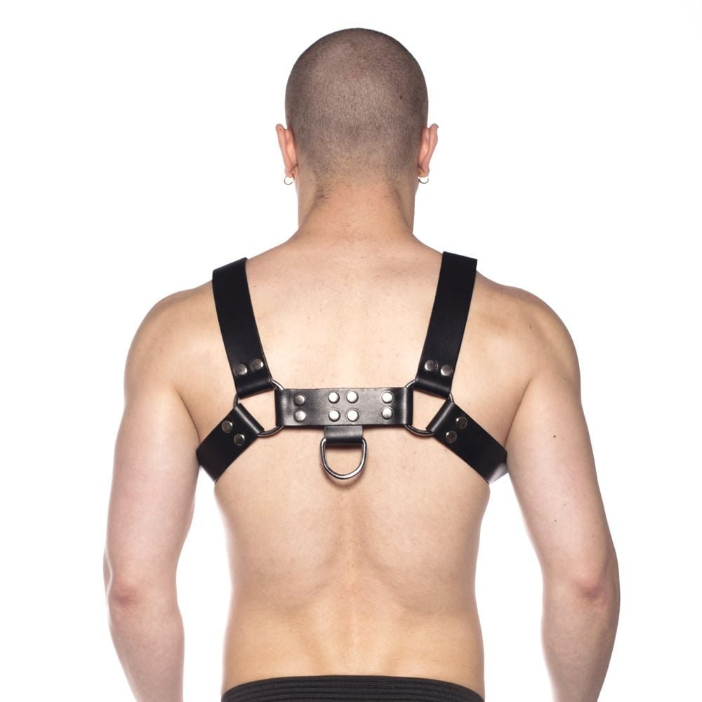 Prowler RED Butch Harness Black/Silver XL - Image 4