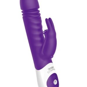 The Sonic Rabbit Purple