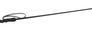 Strict Leather Intense Impact Cane Black